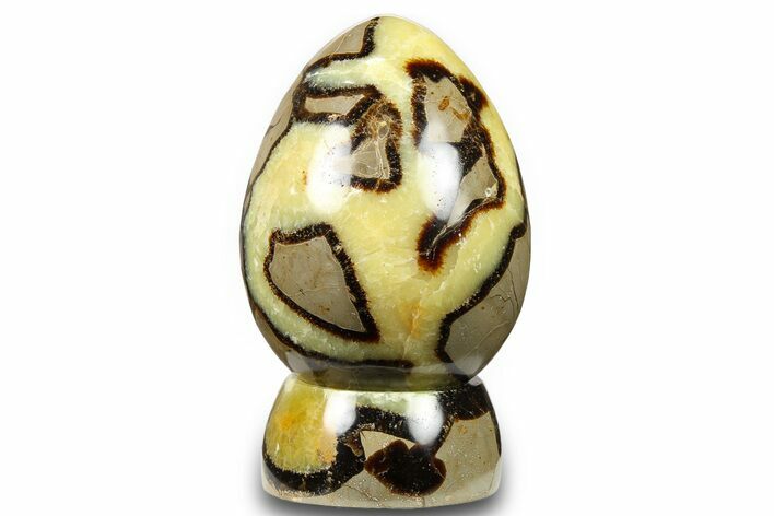 Polished Septarian Egg with Stand - Madagascar #260951